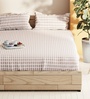 Laquasa Brown & Ecru 100% Cotton Floral Queen Size Bedsheet with 2 Pillow Covers